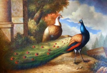 dw065bD 動物 鳥 Oil Paintings